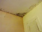 Salford disabled person living hell in Salix Homes flat